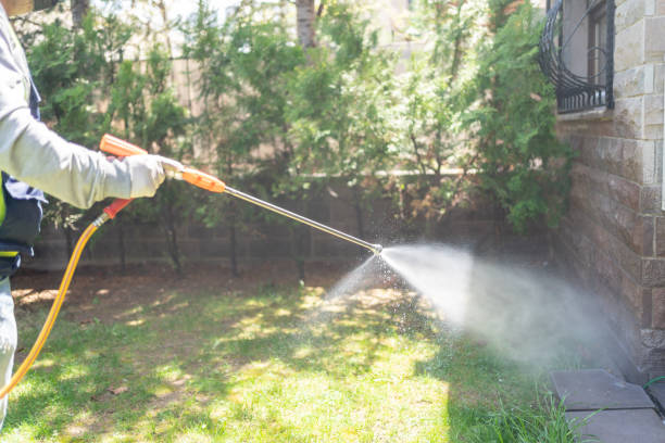 Best Bed Bug Extermination  in Covington, VA