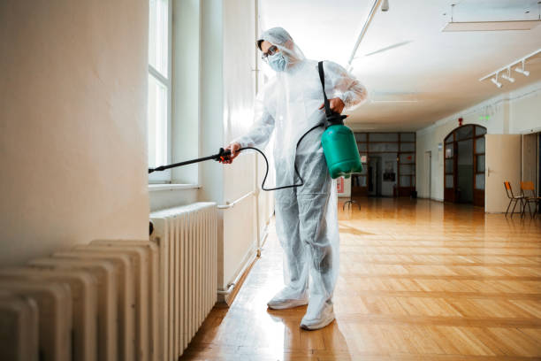 Best Local Pest Control Services  in Covington, VA
